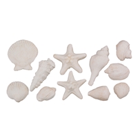 Gum Paste Sea Shells Assortment - Brown Tint