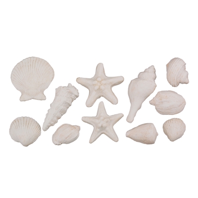 Gum Paste Sea Shells Assortment - Brown Tint