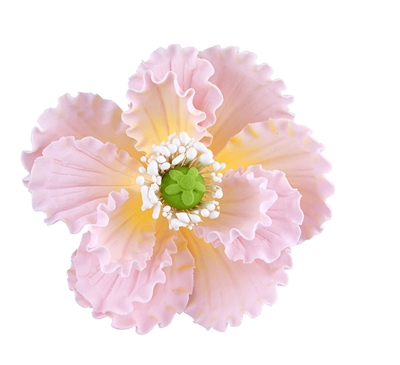 Gum Paste Summer Poppy - Pink