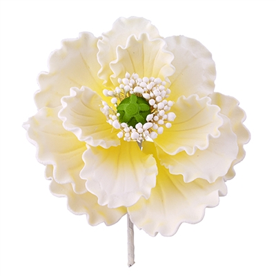 Gum Paste Summer Poppy - White