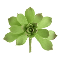 Gum Paste Succulent - Dark Green