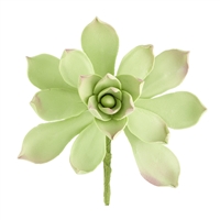 Gum Paste Succulent - Light Green