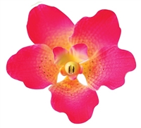 Gum Paste Vanda Orchid - Hot Pink