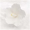 Royal Icing Hibiscus - white
