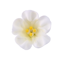Large Royal Icing Petunia - White