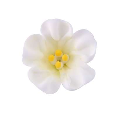 Large Royal Icing Petunia - White