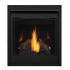 Napoleon Ascent 30 Direct Vent Gas Fireplace