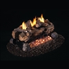 Real Fyre Evening Fyre See-Thru Vent Free Gas Logs 24-in with G18 Burner Options