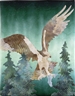 An Osprey with outstretched wings carrying her dinner, a fish