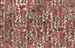 Batik fabric print of string of pearls in desert red adobe