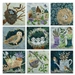 Collection of nine quilt blocks featuring birds, chicks, eggs, bird houses, nests, garden boots, watering can, wheelbarrow and tools