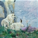 fabric panel with mountain goats lounging on the grass