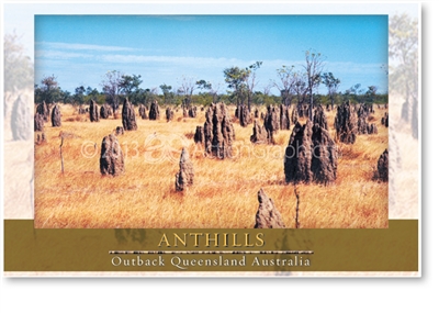 Anthills - Small Magnets  AOBM-005