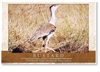 Bustard - Small Magnets  AOBM-053