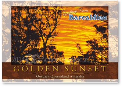 Golden Sunset - Standard Postcard  BAR-019