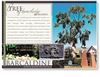 Tree of Knowledge - DISCOUNTED Standard Postcard  BAR-232