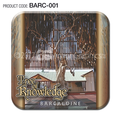 Barcaldine - Set of 2 Coasters