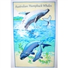 AUSTRALIAN WHALES Cotton/Linen Tea Towel - C015