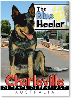 The Blue Heeler - Small Magnets  CHAM-004