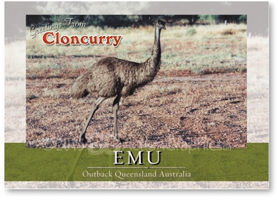 Emu - Standard Postcard  CLO-009