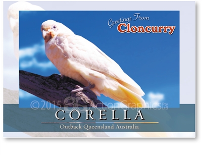 Corella - Standard Postcard  CLO-011