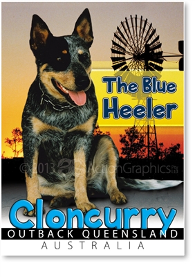 The Blue Heeler - Small Magnets  CLOM-006