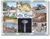 Dunnart Country Julia Creek - Standard Postcard JUL-003