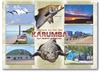 Outback by the Sea Karumba - Standard Postcard KAR-009