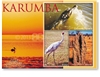 Croc, Brolga, Anthills, Karumba - Standard Postcard  KAR-349