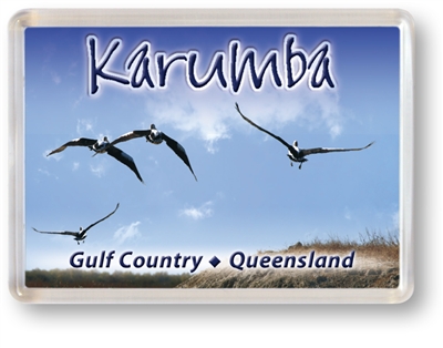 Karumba Pelicans - Framed Magnet  KARFM-006