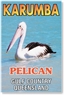 Karumba Pelican - Small Magnets  KARM-032