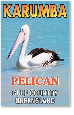 Karumba Pelican - Small Magnets  KARM-032