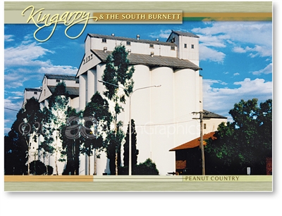 Kingaroyâ€™s Towering Peanut Silos - Standard Postcard  KIN-050