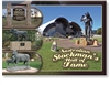Australian Stockman's Hall of Fame- Standard Postcard LON-001