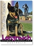 The Blue Heeler - Small Magnets  LONM-008