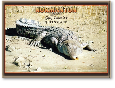 Normanton Big Salty - Standard Postcard  NOR-012