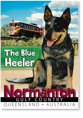 The Blue Heeler - Small Magnets  NORM-007