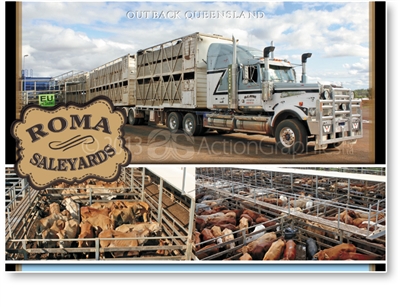 Roma Saleyards - Standard Postcard  ROM-013