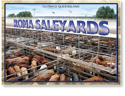 Roma Saleyards - Standard Postcard  ROM-014