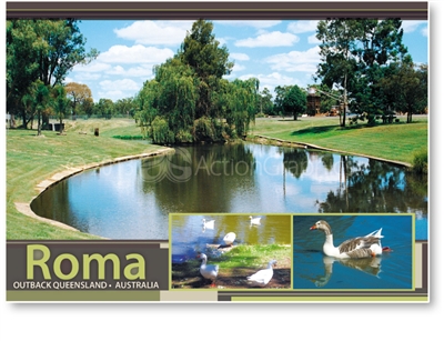 Roma Outback Queensland Australia - DISCOUNTED Standard Postcard  ROM-192