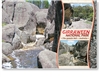 Girraween National Park - Standard Postcard  STP-010