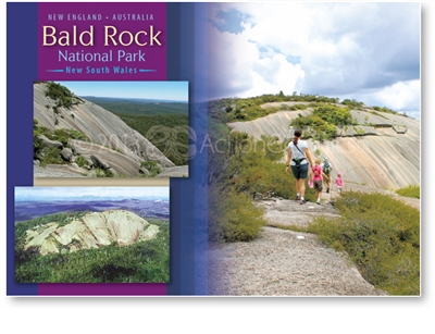 Bald Rock National Park - Standard Postcard  STP-269