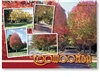 Toowoomba Autumn Time in Queensland - Standard Postcard  TBA-002