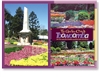 Toowoomba The Garden City - Standard Postcard  TBA-007