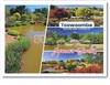 Japanese Gardens "Ju Raku En: Toowoomba - Standard Postcard TBA-025
