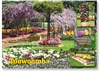 Toowoomba The Garden City - Standard Postcard  TBA-466