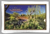 "Ju Raku En" Japanese Garden - Sublimated Tea Towels TBATT-001