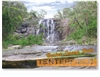 Basket Swamp Falls - Standard Postcard  TEN-003