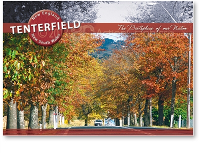 Tenterfield Birthplace of out Nation - Standard Postcard  TEN-482