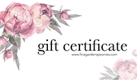 Gift Certificate